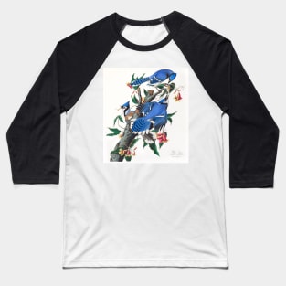 Blue Jay from Birds of America (1827) Baseball T-Shirt